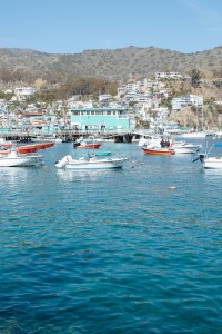 Catalina Island