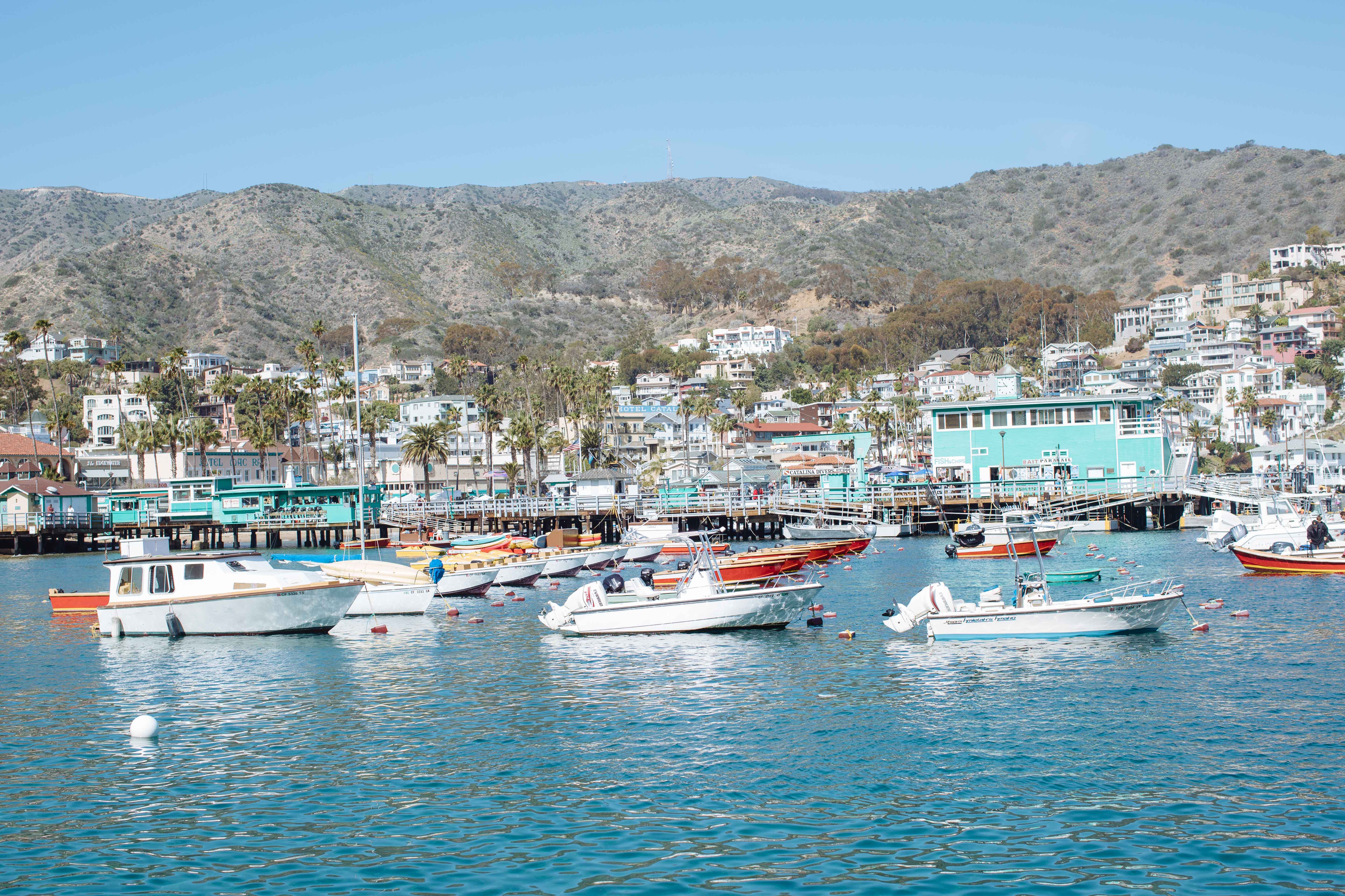 Catalina Island