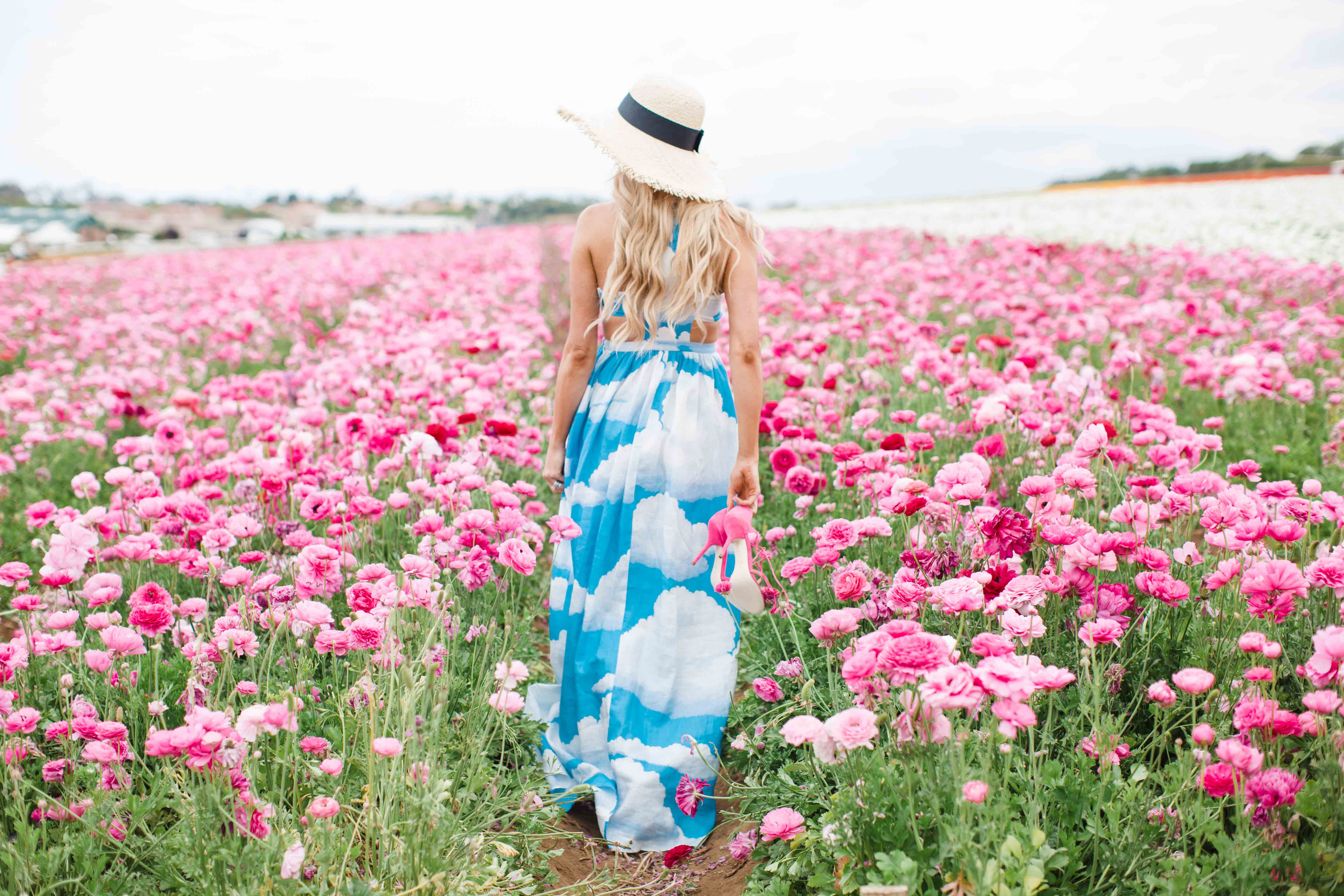 The Flower Fields