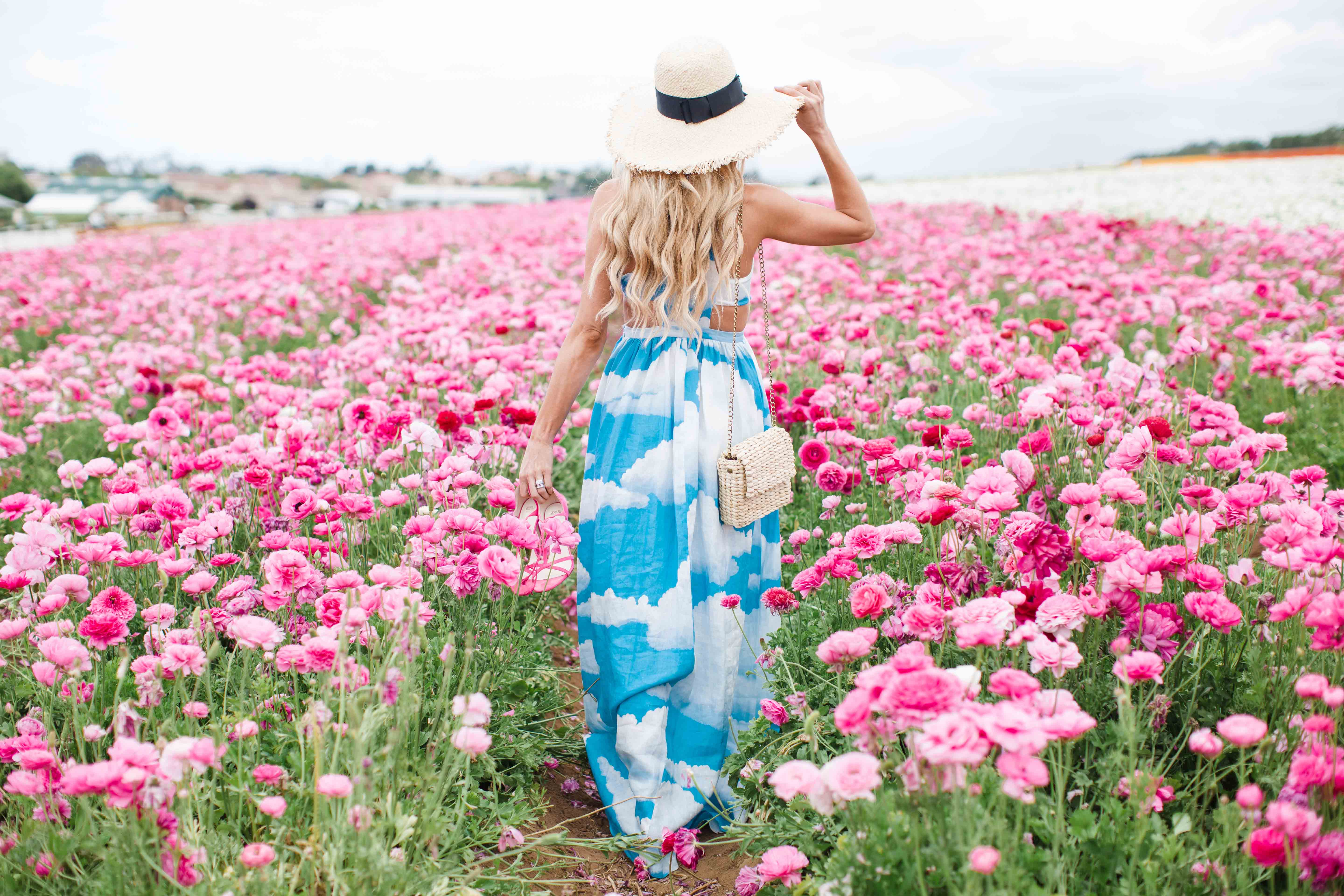 Carlsbad Flower Fields