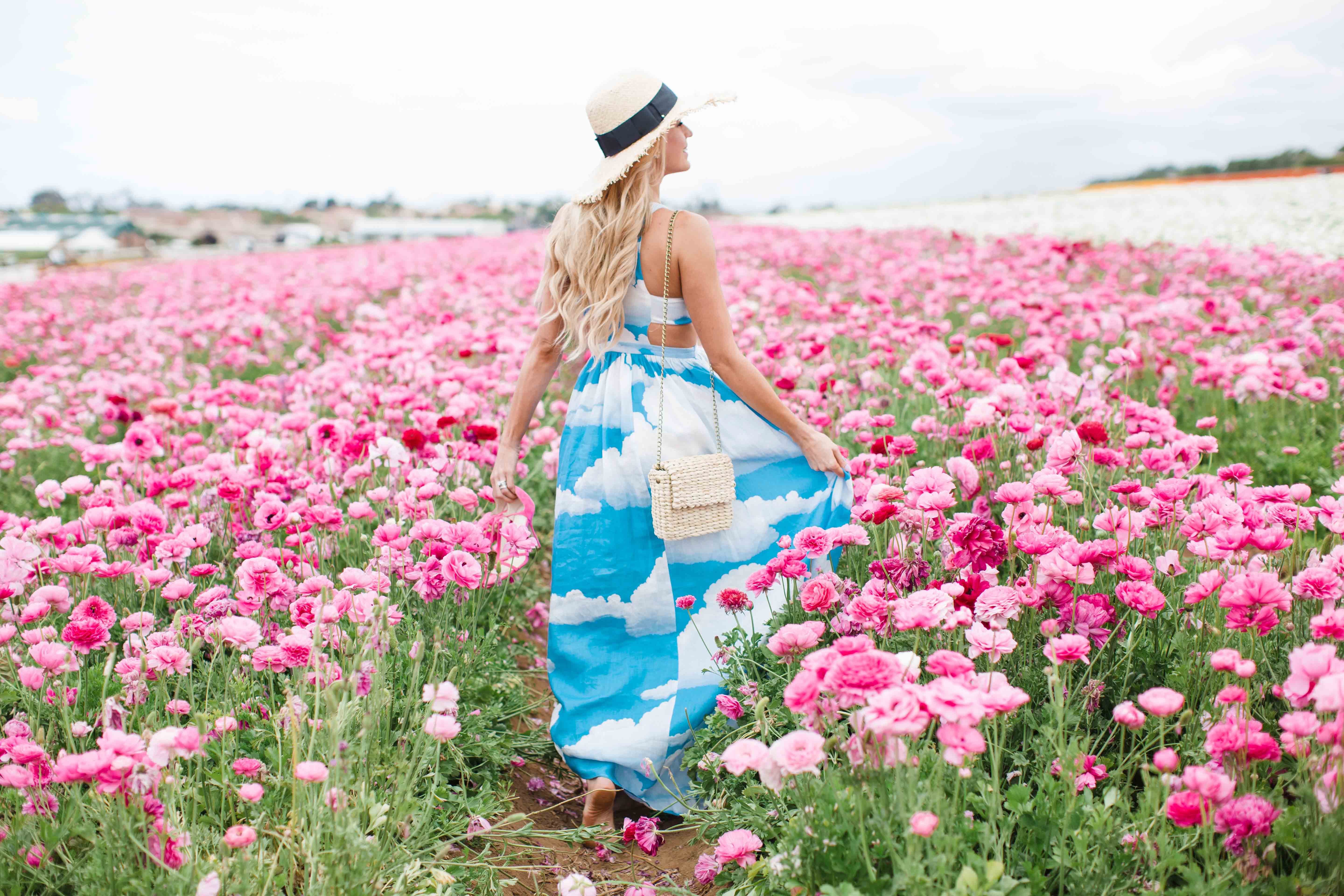 The Flower Fields